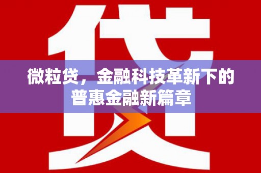 甘谷微粒贷，金融科技革新下的普惠金融新篇章