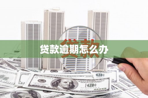 甘谷贷款逾期怎么办