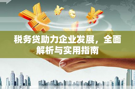 甘谷税务贷助力企业发展，全面解析与实用指南