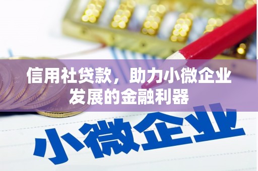 甘谷信用社贷款，助力小微企业发展的金融利器