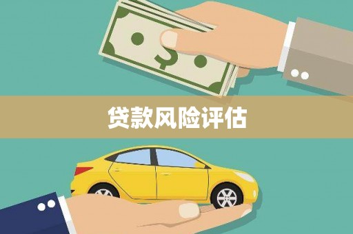 甘谷贷款风险评估