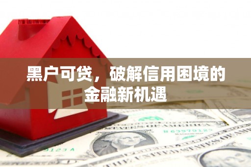 甘谷黑户可贷，破解信用困境的金融新机遇