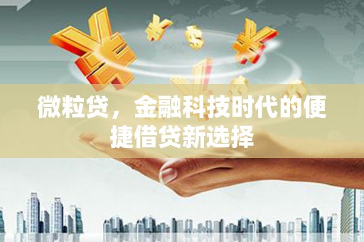 甘谷微粒贷，金融科技时代的便捷借贷新选择