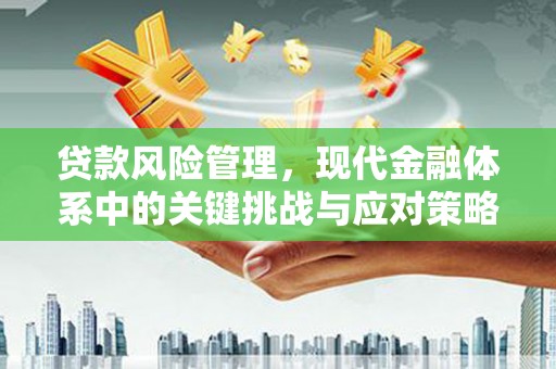 甘谷贷款风险管理，现代金融体系中的关键挑战与应对策略
