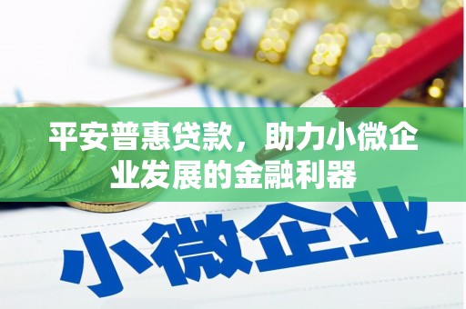 甘谷平安普惠贷款，助力小微企业发展的金融利器