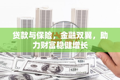 甘谷贷款与保险，金融双翼，助力财富稳健增长