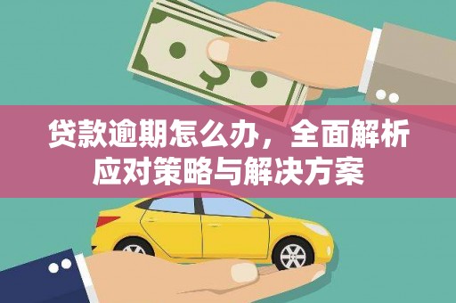甘谷贷款逾期怎么办，全面解析应对策略与解决方案