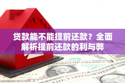甘谷贷款能不能提前还款？全面解析提前还款的利与弊