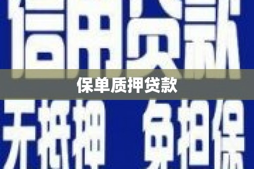 甘谷保单质押贷款