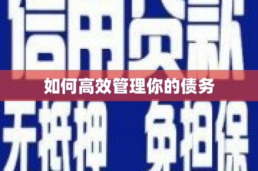 甘谷如何高效管理你的债务