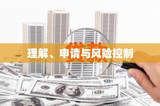 甘谷理解、申请与风险控制