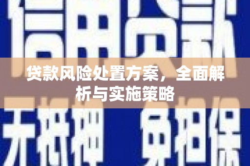 甘谷贷款风险处置方案，全面解析与实施策略