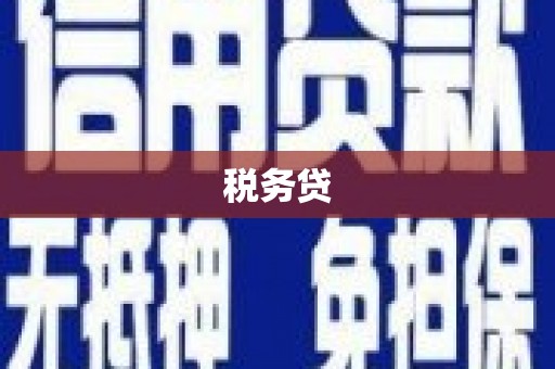 甘谷税务贷