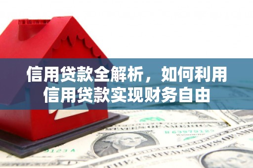 甘谷信用贷款全解析，如何利用信用贷款实现财务自由