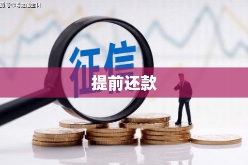 甘谷提前还款