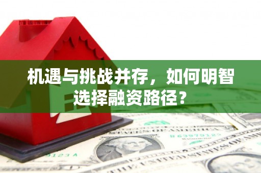 甘谷机遇与挑战并存，如何明智选择融资路径？