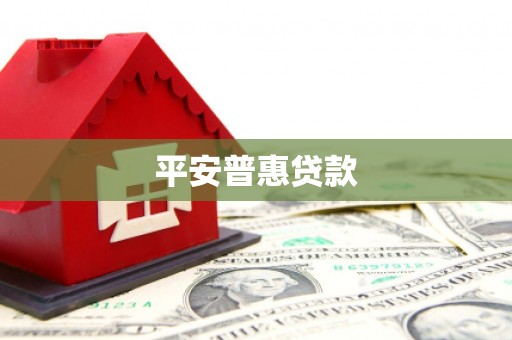 甘谷平安普惠贷款