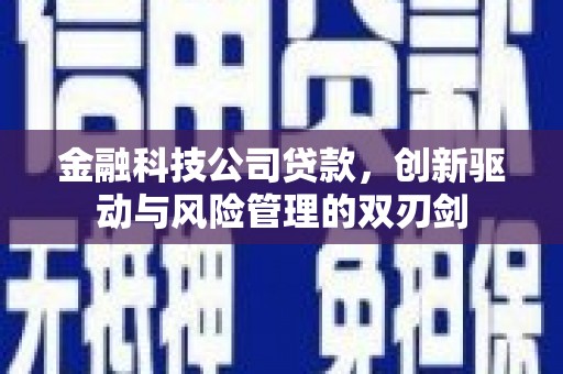 甘谷金融科技公司贷款，创新驱动与风险管理的双刃剑